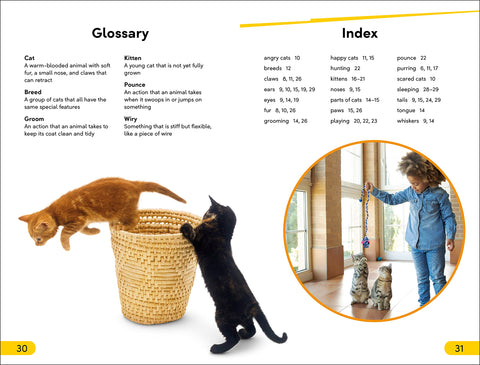 Image of DK SUPER READERS LEVEL 2 CATS AND KITTENS