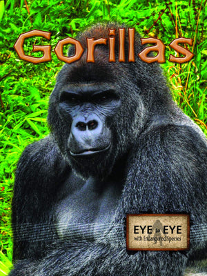 Gorillas (Eye To Eye With Endangered Species)