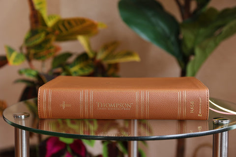 Image of NASB Thompson Chain-Reference Bible Leathersoft Brown 1995 Text Red Letter Comfort Print