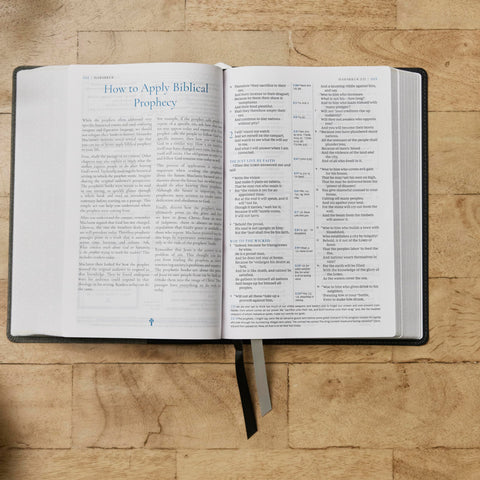 Image of NKJV, ALEXANDER MACLAREN STUDY BIBLE: ENCOURAGEMENT AND INSIGHTS FOR A CHRIST-CENTERED LIFE (NKJV, BLACK/GRAY LEATHERSOFT, COMFORT PRINT)