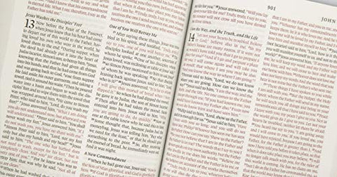Image of ESV THINLINE BIBLE (TRUTONE, CHARCOAL, CROWN DESIGN)