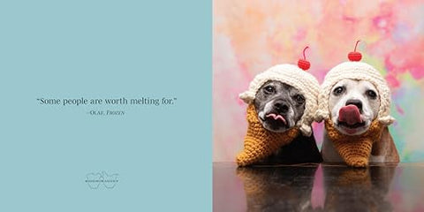 Image of SOOKIE AND IVY FRIENDS FOREVER! (FOX CHAPEL PUBLISHING) BEAUTIFUL GIFT BOOK FEATURING CUTE PHOTOS OF DOGS IN HATS, WITH UPLIFTING AND FUNNY QUOTES ABOUT THE JOY OF FRIENDSHIP