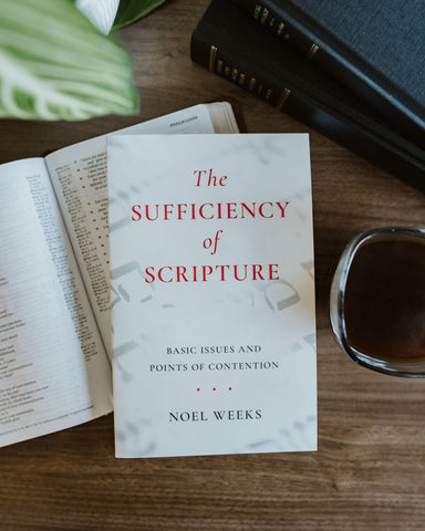 Image of The Sufficiency of Scripture: Basic Issues and Points of Contention