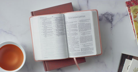Image of ESV LARGE PRINT COMPACT BIBLE (TRUTONE, BLUSH ROSE)