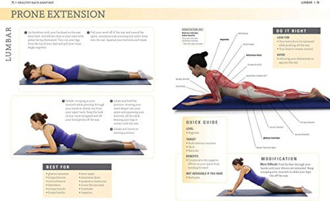 Image of Healthy Back Anatomy (Anatomies of)