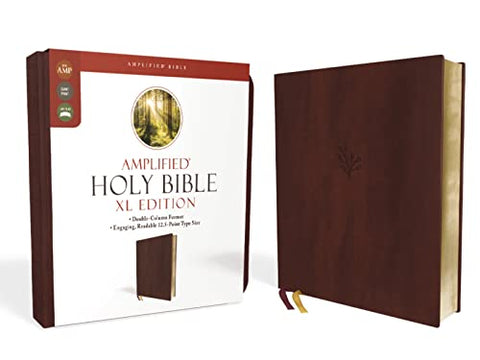 Image of AMPLIFIED HOLY BIBLE, XL EDITION--SOFT LEATHER-LOOK, BURGUNDY