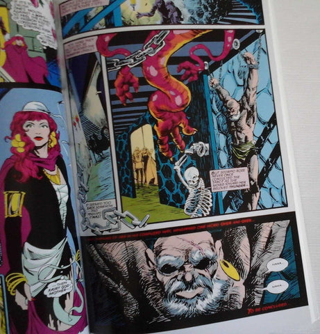 Image of Coyote Volume 5