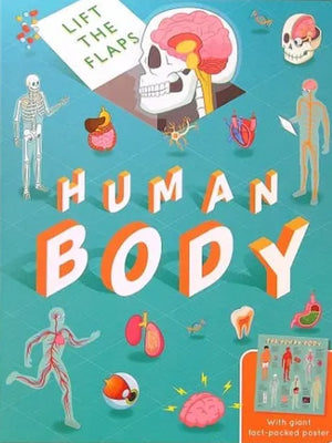 Human Body: Lift the Flaps With Giant Fact-Packed Poster