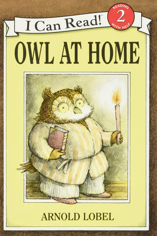 Image of OWL AT HOME