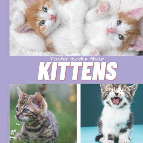 Image of TODDLER BOOKS ABOUT KITTENS: WORDLESS PICTURE BOOKS FOR TODDLERS: KITTEN BOOK FOR TODDLERS WITH REAL PICTURES