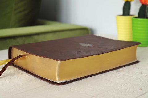 Image of NIV Thompson Chain-Reference Bible Leathersoft Brown Red Letter Comfort Print