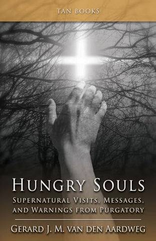 Image of HUNGRY SOULS: SUPERNATURAL VISITS, MESSAGES, AND WARNINGS FROM PURGATORY