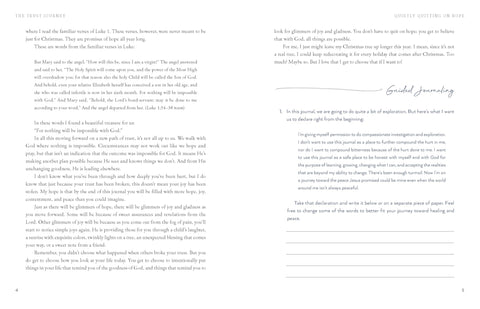 Image of THE TRUST JOURNEY: HEAL FROM BROKEN TRUST WITH OTHERS, YOURSELF, AND GOD (A GUIDED JOURNAL TO USE ALONGSIDE I WANT TO TRUST YOU, BUT I DONâ€™T)