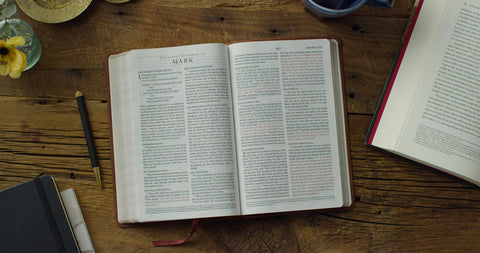 Image of ESV THINLINE BIBLE (DEEP BROWN, FULL GRAIN LEATHER)
