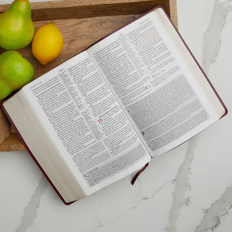 Image of KJV STUDY BIBLE, LARGE PRINT, LEATHERSOFT, MAROON/BROWN, RED LETTER: SECOND EDITION (SIGNATURE)