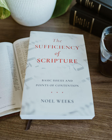 Image of The Sufficiency of Scripture: Basic Issues and Points of Contention