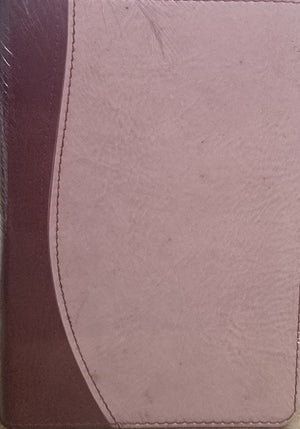 KJV HOLY BIBLE COMPACT DUOTONE PINK