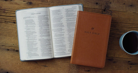 Image of ESV VALUE THINLINE BIBLE (TRUTONE, ENGLISH SADDLE)